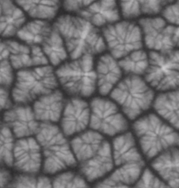 Photo of Solidification under Zero Gravity
