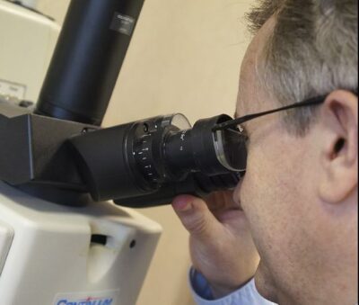Photo of Seeing the light: making good use of optical microscopes