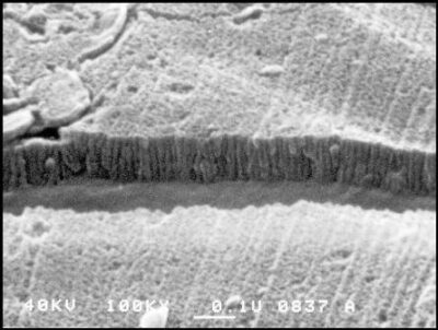 Photo of Anodised aluminium as a catalyst support