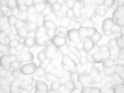 Photo of Analysis of aluminium surface chemistry