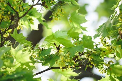 Photo of Environmental Product Declaration – a quick guide